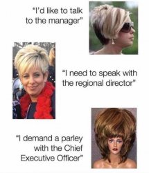 i-need-to-speak-with-the-regional-director-i-demand-a-parley-with-the-chief-executive-officer.jpg