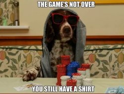 dog-game-over-poker-meme.jpg